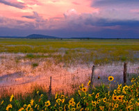 Landscapes