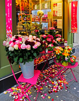 Paris Roses