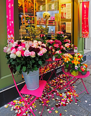 Paris Roses